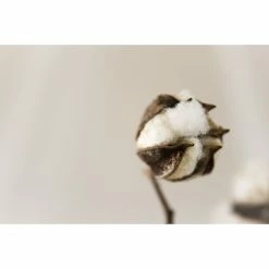 Elvang Denmark Elvang Lyme Grass Decke - 130x180 Cm - Yellow -David Fussenegger Shop unnamed file 1033