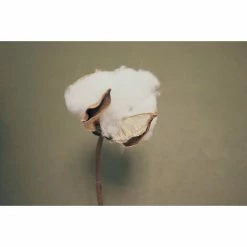 Elvang Denmark Elvang Iris Decke - 130x215 Cm - Blue/rusty Red -David Fussenegger Shop unnamed file 1042