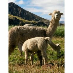 Elvang Denmark Elvang Fishbone Wolldecke - 130x190 Cm - Rusty Red -David Fussenegger Shop unnamed file 1070